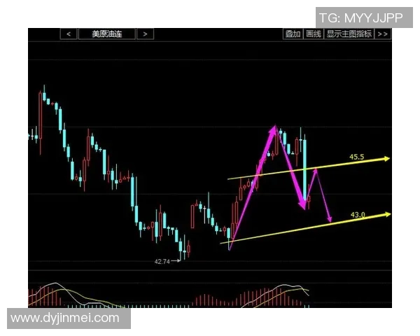 阿联酋与委内瑞拉精彩对决直播时间及观看方式全解析