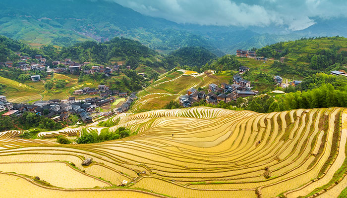赢博体育广西旅逛攻略 广西旅逛最佳门道(图1)