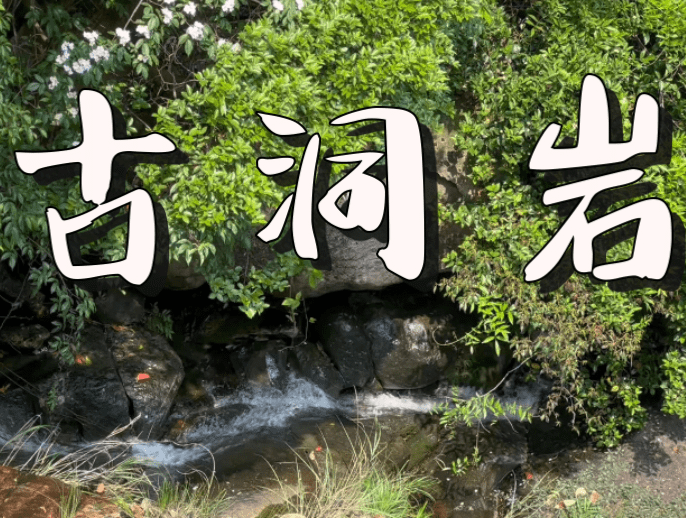 赢博体育浙江温州旅逛景点攻略详情(图4)