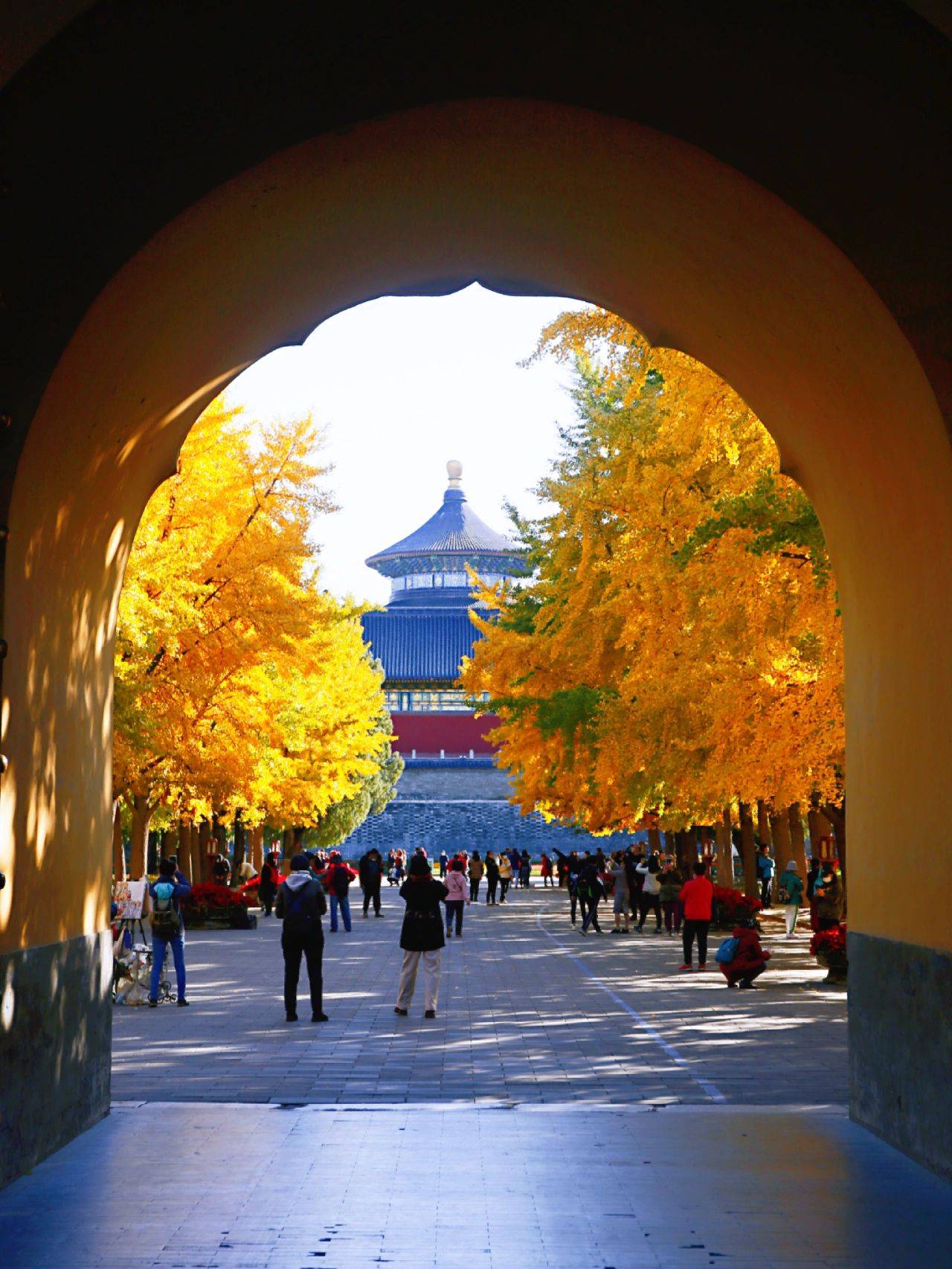 北京秋季旅赢博体育逛指南！这份攻略请收好(图1)