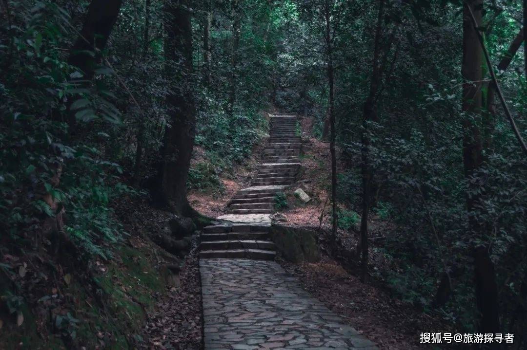 走赢博体育去湖南长沙长沙旅逛攻略(图7)