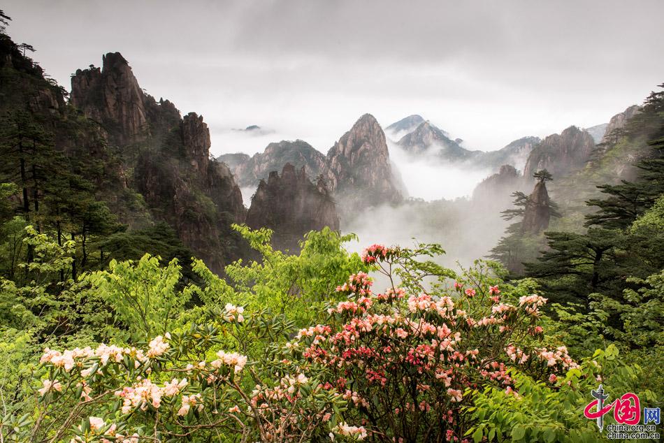 赢博体育五一旅逛举荐：黄山影相师撰写的旅逛攻略(图)(图1)