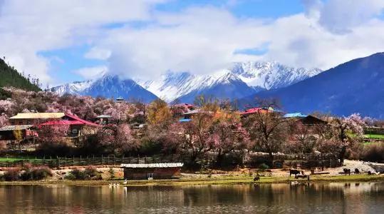 赢博体育第一次去西藏旅逛攻略（保藏）(图12)