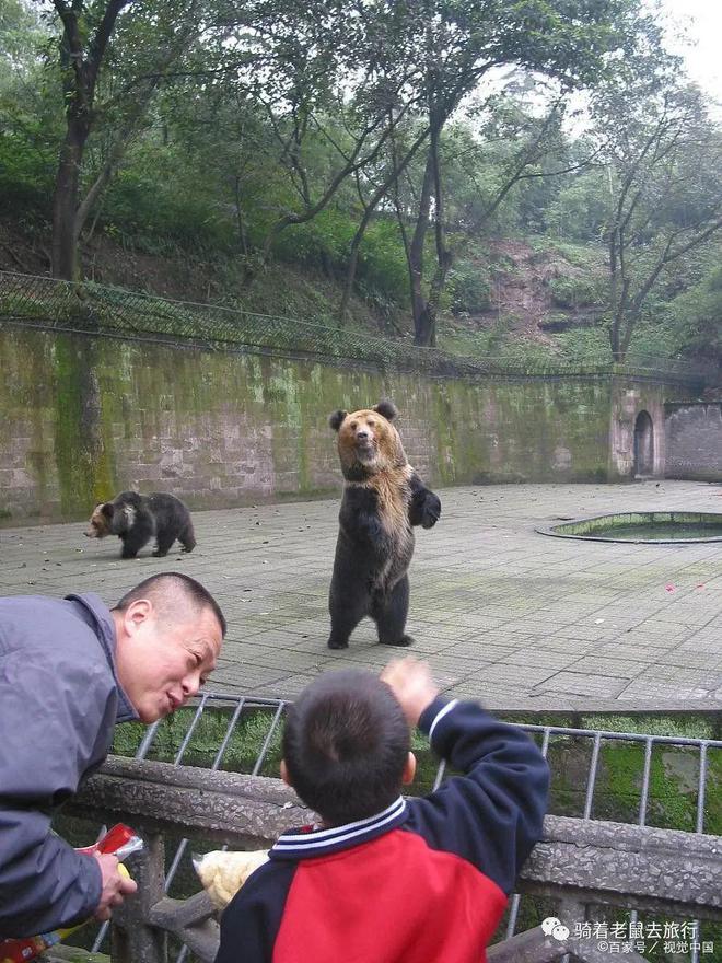 赢博体育旅逛攻略：重庆三天旅逛攻略(图6)