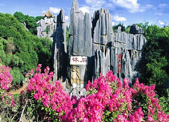 腾冲旅逛赢博体育网站收录大全云南昆明旅逛景点网址有哪些官网盘查干系体例(图1)