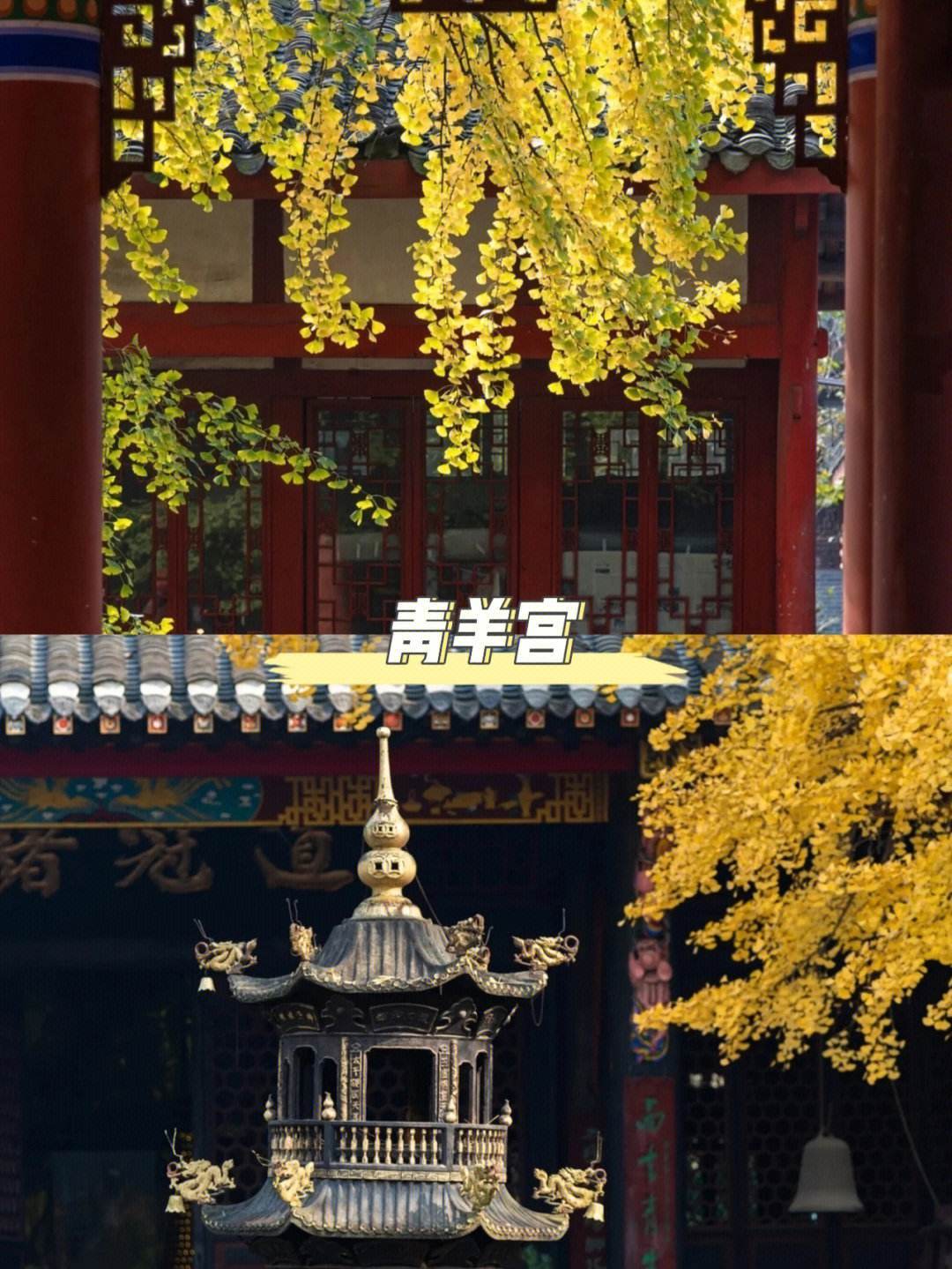 赢博体育攻略旅逛自正在行川渝超全景点+行程门道+美食引荐+用度详情(图3)