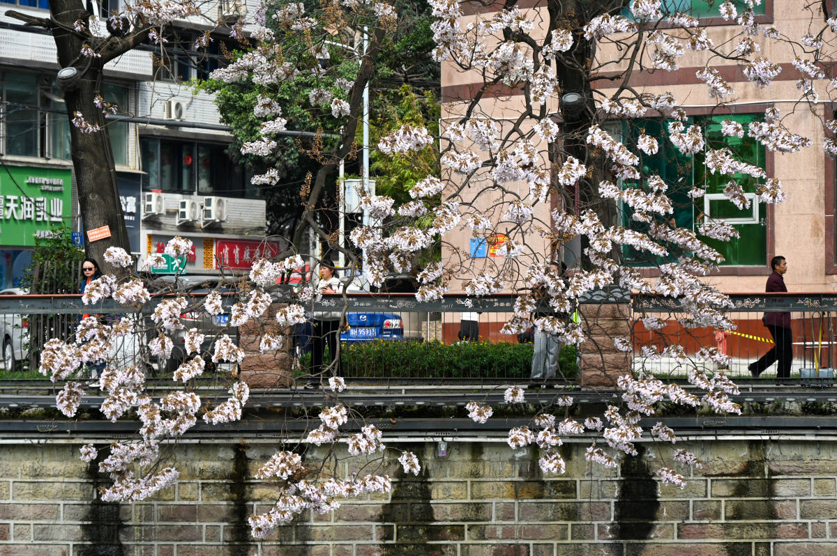赢博体育四川旅逛攻略四天三晚超详尽行程安顿！四川成都旅逛攻略举荐(图2)