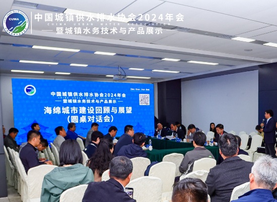 截至2023岁晚 济南市累计修成海绵赢博体育都市2654平方公里(图2)