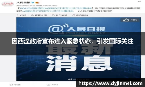 因西涅政府宣布进入紧急状态，引发国际关注
